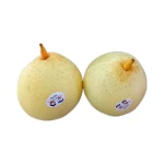 2020 New Corp Top Quality Best Price Ya Pears fresh pears from china