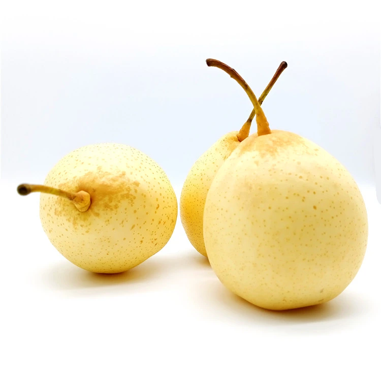 2020 Pear healthy Fresh Pears Fruit Wholesale for sale