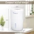 Import 2020 Trending new arrivals customized logo 2000ml home air purifier mini portable small  dehumidifier for home from China