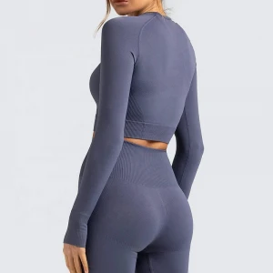 2021 Wholesale Gym Leggings And Long Sleeve Crop Top Sports Set Wholesale Seamless Fitness Yoga Wear Women