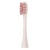 Import 2Pcs Wholesale New Product Electric Clean Soft Adult Toothbrush Head Electric Toothbrush Heads from China