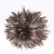 Import 4-6 inches (10-15 cm) Gold Medal Merchant Wholesale Rock Chicken Pheasant Feather Jewelry Accessories Headdress Black and White from China
