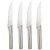 Import 4-pieces 4.5 inch kitchen Serrated buy Steak Knifes Set with 430  Stainless Steel handle book box packaging from China