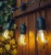 Import 48 ft weatherproof  String Lights Garden Rope Lights with 15 Bulbs from China