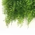 Import 50*50cm Wholesale plastic decoration Tall potted shenzhen succulent tropical yiwu artificial plant fake hedge wall from China