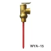 AKE Temperature and Pressure Relief Valve for hot water heater