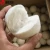 Import All-Natural, Laundry-Softening Dryer Balls trending 2019 from China