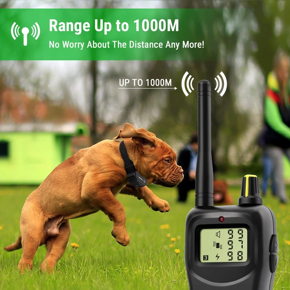 Amazon Top Seller Pertrainer PET900B-1 1000m Rechargeable 3 Dog Shock Training Collar