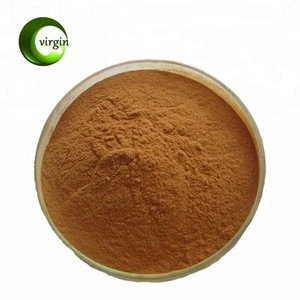 Anti-oxidant product of Grape seed extract 95% OPC from Dried Grape seed CAS: 29106-51-2 with best price