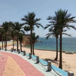 Anti UV Large Fake Coconut Trees Big Artificial Outdoor Data Palm Tree High Artificial Trees For Outdoor Decoration