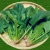 Import Appraiser Organic Green Tea Barley Fruit And Vegetable Juice from Japan