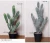 Artificial Plant Sale Artificial Indoor Plants, Baby Cactus Plant, Cactus Flowering Plants