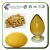 Import Bacillus Subtilis Natto/fermented Soybean/nattokinase from China