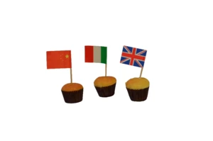 beautiful special black and various color square or flag wooden toothpicks food picks