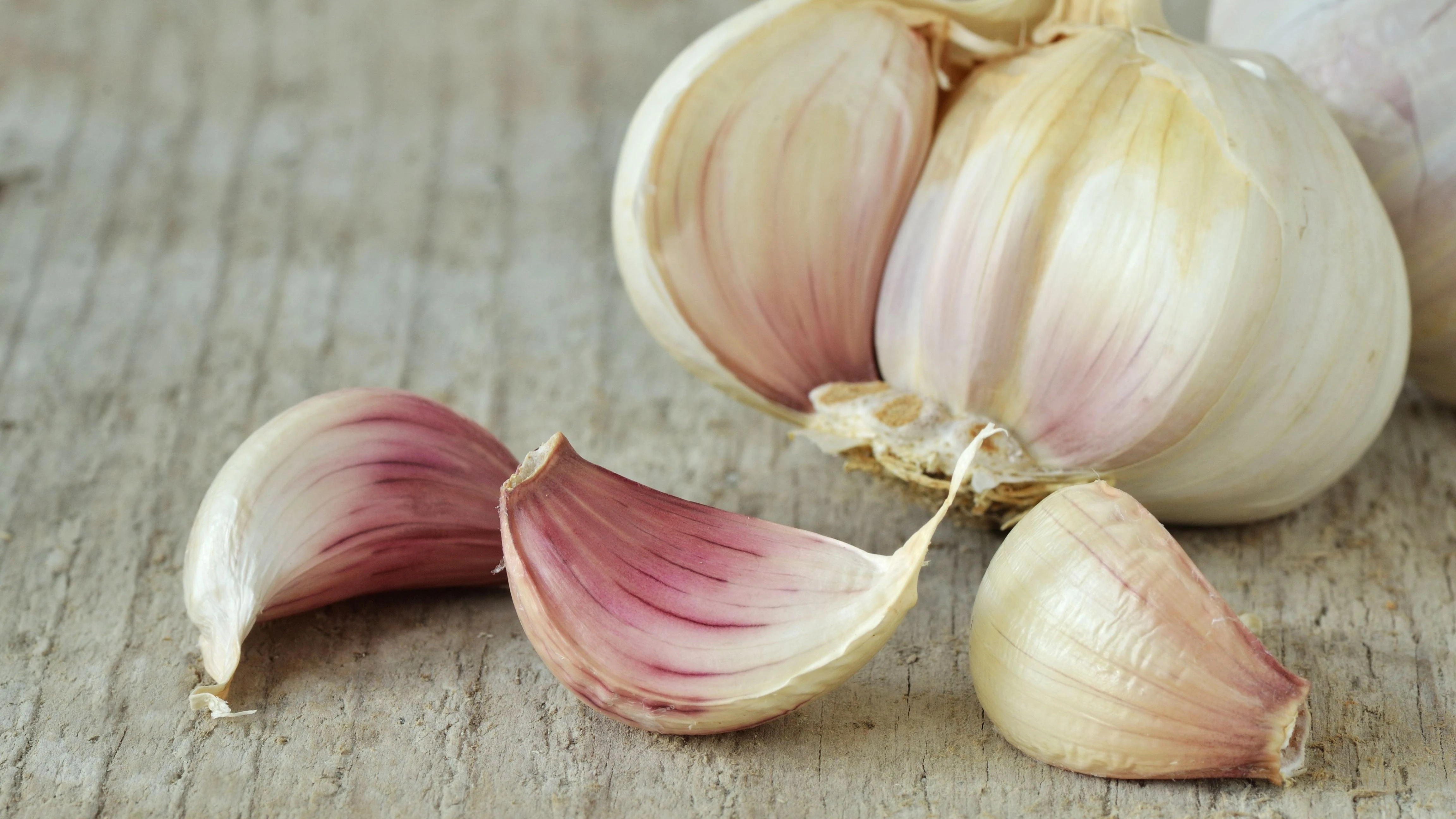 Best Price High Quality Fresh Garlic