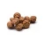 Import Best Price Tiger Nuts for sale from South Africa