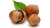 Import Best Quality suppliers Hazelnut kernels/Hazelnut For Sale from South Africa