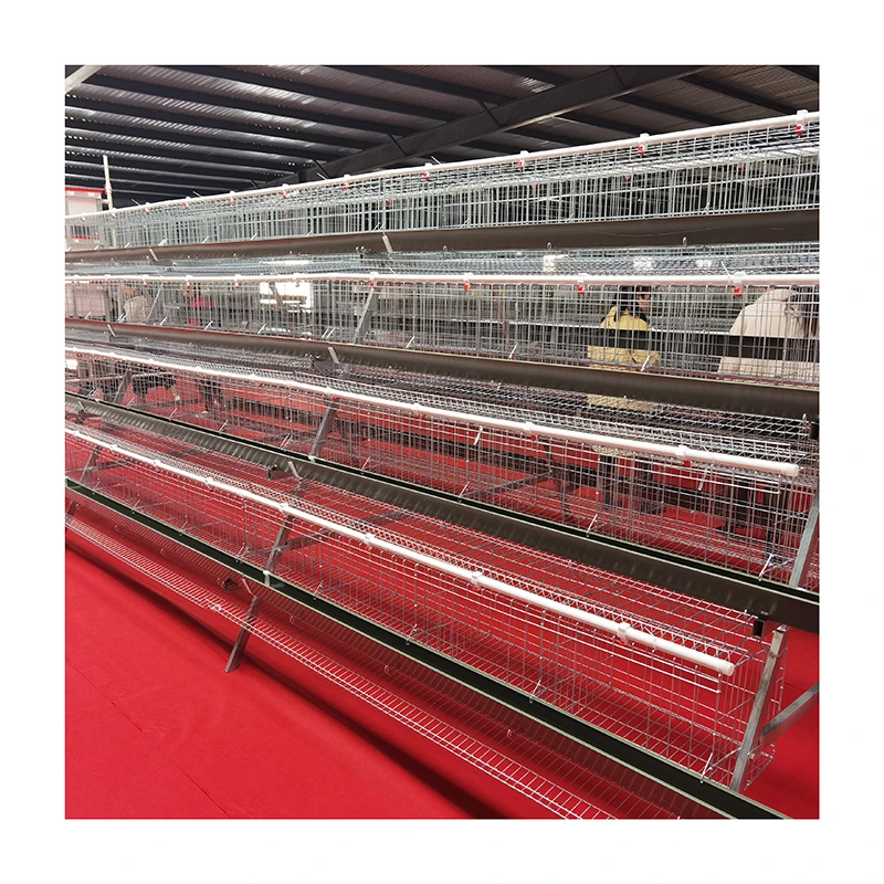 Best Sale Egg  Poultry Farm chicken cage equipment layer cages in south Africa