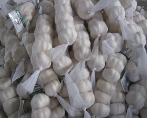 Best Wholesale Fresh Garlic Ginger Onion Price -new crop, high quality for export well