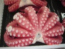 Big size Frozen cooked Octopus