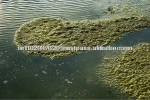 bio product for food waste disposal
