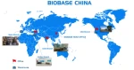 BIOBASE China Chemical Laboratory Caron Analysis Machine TOC Analyzer with NDIR Detector