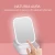 Import C&amp;C LED Makeup Mirror LED Cosmetic Mirror from China