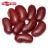 Import Canned food factories red kidney beans from China