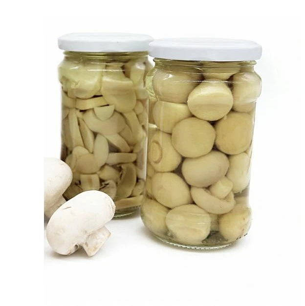 Canned Mushroom in brine Cheaper Price High Quality Bulk Quantity Factory Price