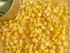 Best Grade Sweet Corn Available in Canned Pack