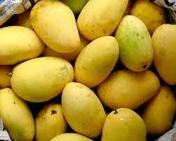 Chaunsa Mango Fresh Indian Mango