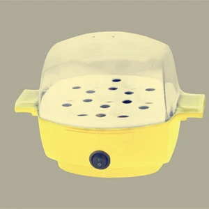 Cheap Egg Boiler