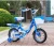 China Children Bicycle for 10 Years Old Child / Kid Bike for Girls