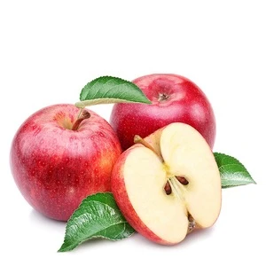 China fresh gala fruit apple exporter