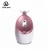 Import China Hot sale Ionic Facial Steamer for home beauty from China