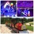 Import China supplier amusement park attraction road sightseeing electric trackless tourist train for sale from China