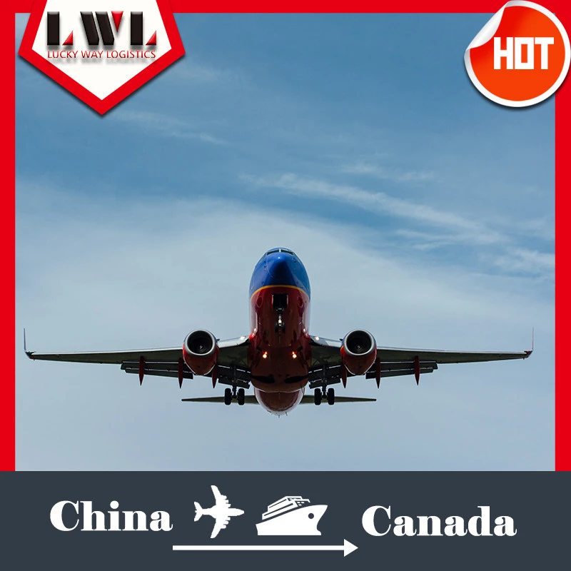 China to Toronto/YYZ/Ontario /Canada/Pearson International Airport Air Freight Express shipping Dropshipping ecommerce