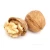 Import China Top Grade Wholesale Price Walnut from China