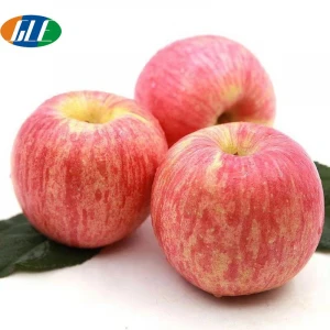 China&#x27;s New crop Top grade Fresh Red Fuji apple fruits Supply all the year round