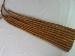 chinese fresh burdock
