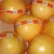 Import chinese fresh grapefruits pomelo from China