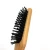 Import Classic Wood Hair Brush with Spray Pump for Head Massage from China