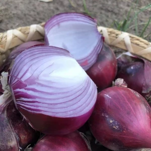 Competitive Price Premium Quality Fresh Red Onion With Wholesale