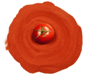 Crop 2018 100% natural spray dried tomato powder orginal xinjiang