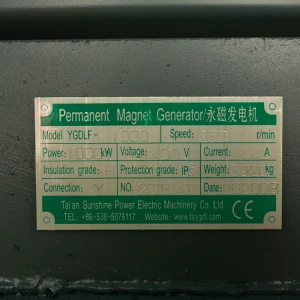 Custom Made 1000kW 250rpm Permanent Magnet Generator alternator
