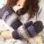 Import custom patterns super soft thick mittens double layers brushed inner snowflake women&#039;s winter gloves from China