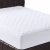 Import Custom Size King Queen Quilted/Bamboo Waterproof Protection Pillow Top Mattress Protector Pad Cover from China