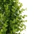 Import Customized Artificial decorative flowers wreaths  plastic boxwood greenery wreath  for home wall  decoration from China