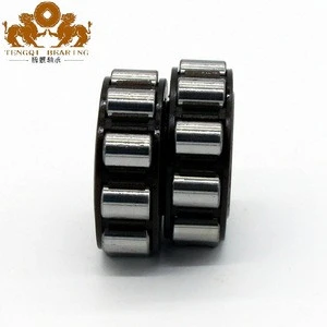 Cylindricail structure China 100752202 Double Row Overall Eccentric Roller Bearing for worm gear reducer
