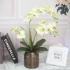 Dancing Orchid Flower Butterfly Orchid Wedding Decoration Artificial &amp; Dried Flowers Home Decor Flower
